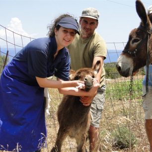 PAROS Elisa worming a donkey foal (Large)